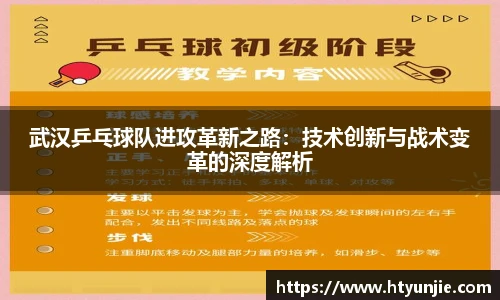 星空·综合体育官网